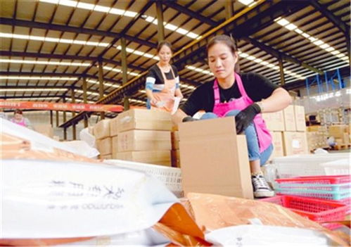 邢臺南和區寵業電商促發展