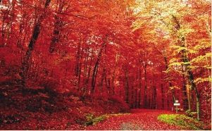 "醉"美愛情山邢臺(tái)天河山風(fēng)景區(qū)