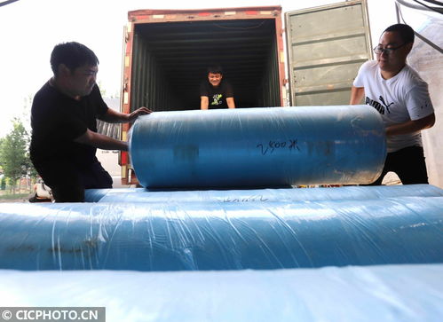 河北臨西 小微企業(yè)促就業(yè)