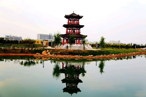 太行泉城 美麗邢臺 記者一線聽泉聲 之茶棚溝