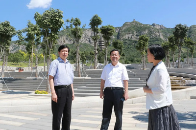 邢臺市人大常委會主任魏吉平到我區考察,看看都去了哪些地方,調研了什么工作?