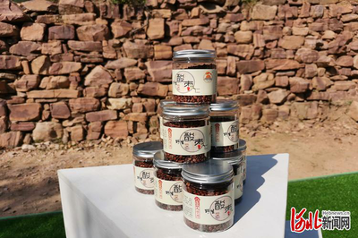 聽故事品酸棗 河北邢臺信都區最美酸棗古樹等你來尋!