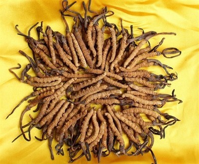 邢臺煙酒回收@邢臺回收茅臺酒 -邢臺煙酒回收產品展示(邢臺煙酒回收、邢臺回收煙酒、邢臺哪里有回收煙酒)-金泉網