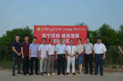 智慧零售+產地直采 蘇寧拼購助力&ldquo;水滸傳脆梨&rdquo;首度觸網