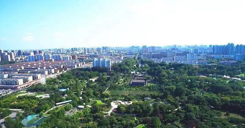 大動(dòng)作 邢臺(tái)最新城市規(guī)劃 邢臺(tái)要起飛了