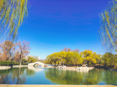 邢臺旅游攻略 探尋歷史文化與自然風光交融之地