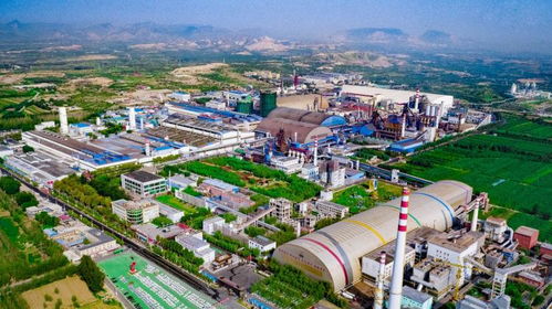 德龍鋼鐵躋身世界500強，新天鋼集團邁入高質量發展新階段