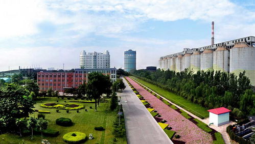 邢臺鋼鐵有限責(zé)任公司 邢臺市工業(yè)脊梁的堅(jiān)實(shí)支柱