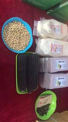 農旅融合展新姿 邢臺旅發大會農產品展人氣爆棚